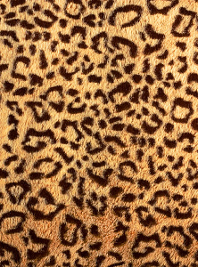 ФОТОПАННО Б1-184 Леопардовый принт 200*270 DIVINO DECOR в интернет-магазине Город Мастеров
